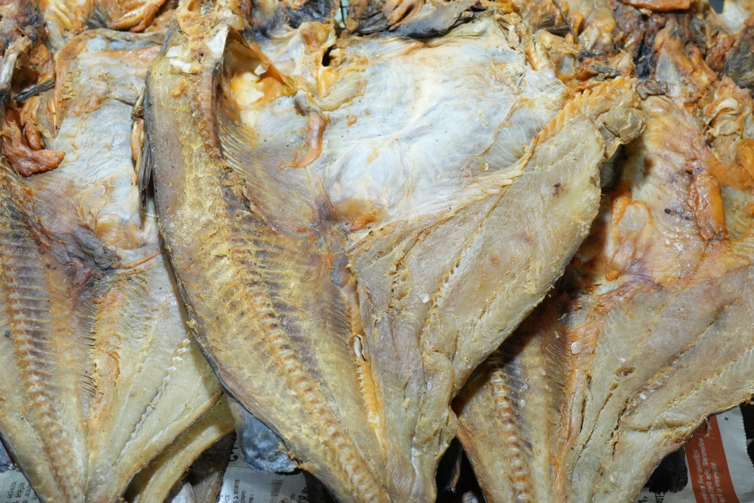 ✅ প্রিমিয়াম গাগলা শুটকি